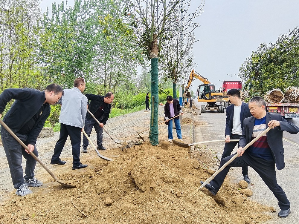 植树好.jpg